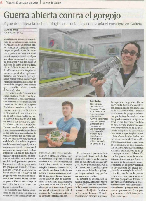 La Voz, 15 xuño 2016