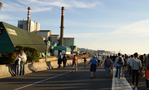 Marcha contra Celulosas-Elnosa 2016