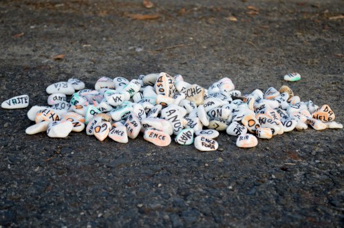 Marcha contra Celulosas-Elnosa 2016