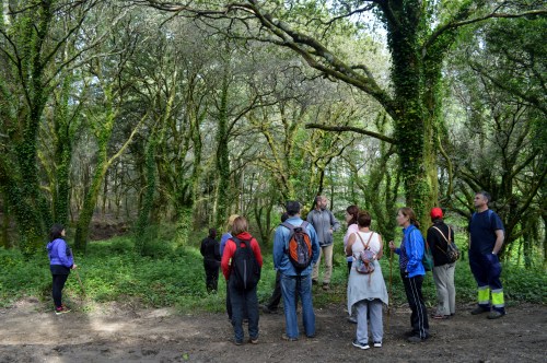 Ruta por Outeiro da Carballosa e Agudelo.