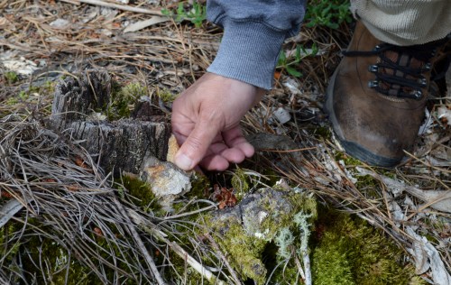 Ruta por Outeiro da Carballosa e Agudelo.