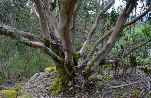 Ruta por Outeiro da Carballosa e Agudelo.