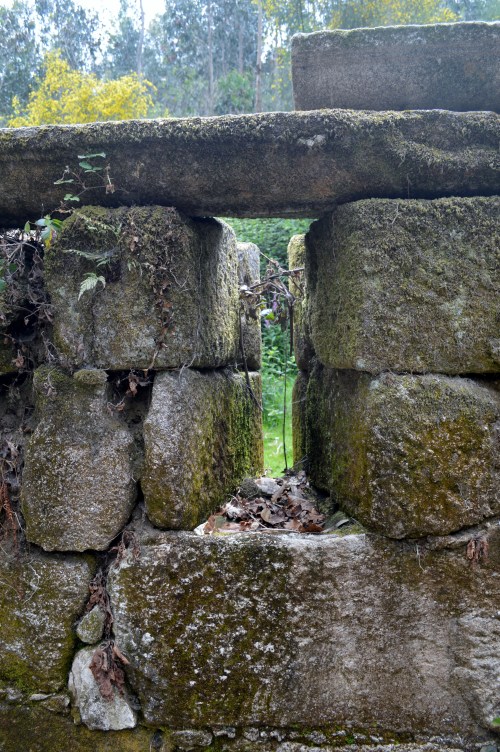 Ruta por Outeiro da Carballosa e Agudelo.