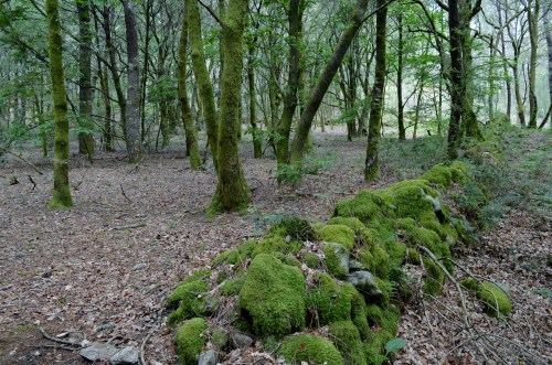 Ruta por Outeiro da Carballosa e Agudelo.