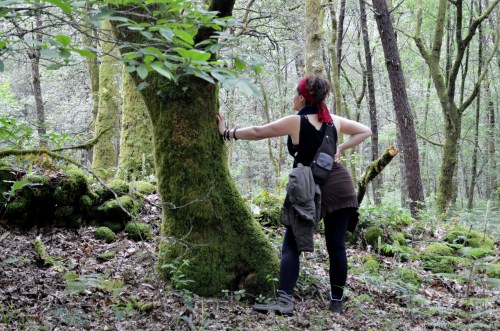 Ruta por Outeiro da Carballosa e Agudelo.