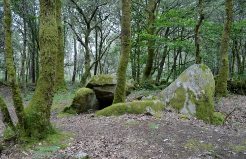 Ruta por Outeiro da Carballosa e Agudelo.