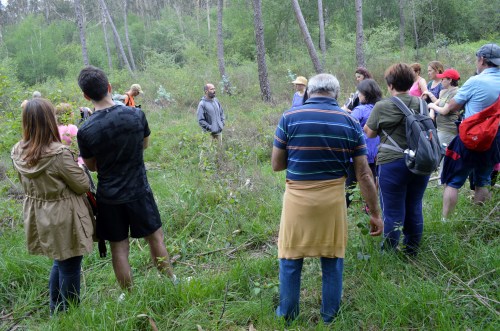 Ruta por Outeiro da Carballosa e Agudelo.