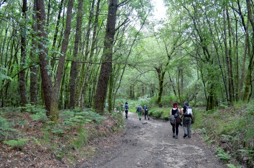 Ruta por Outeiro da Carballosa e Agudelo.