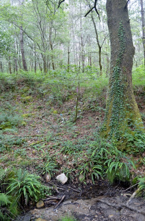 Ruta por Outeiro da Carballosa e Agudelo.
