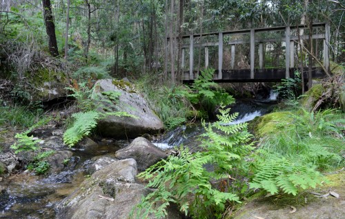 Ruta polos montes de San Xulián