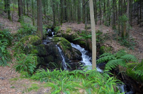 Ruta polos montes de San Xulián