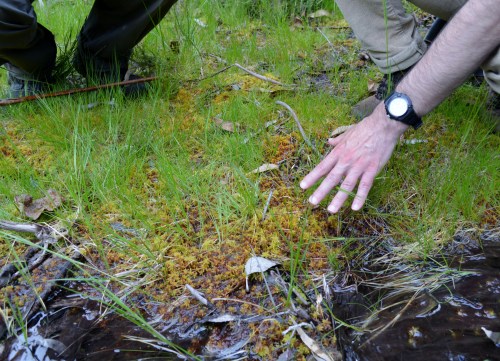 Ruta polos montes de San Xulián