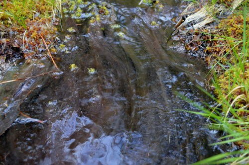 Ruta polos montes de San Xulián
