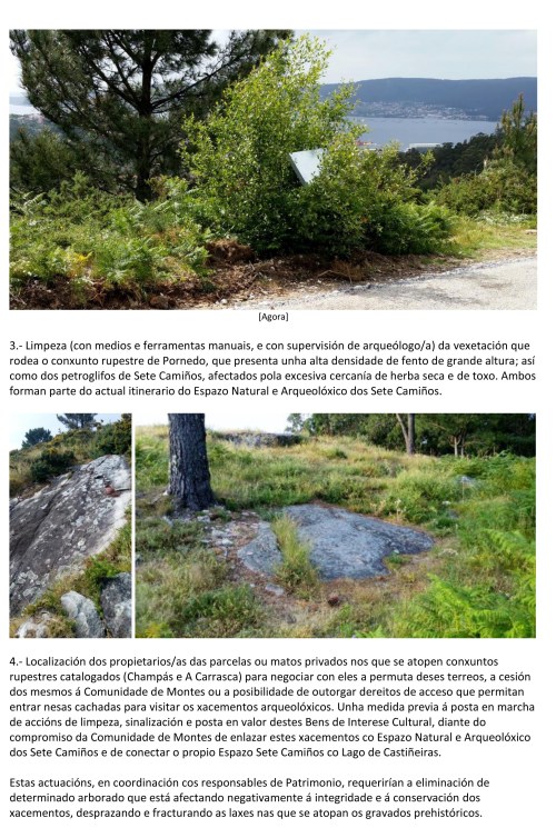 12 PROPOSTAS DE ACTUACIÓNS DE MELLORA NO MONTE PORNEDO