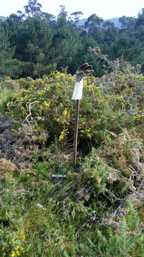 Acondicionamento das sendas para o roteiro do 9 de xullo polos montes de San Xulián.