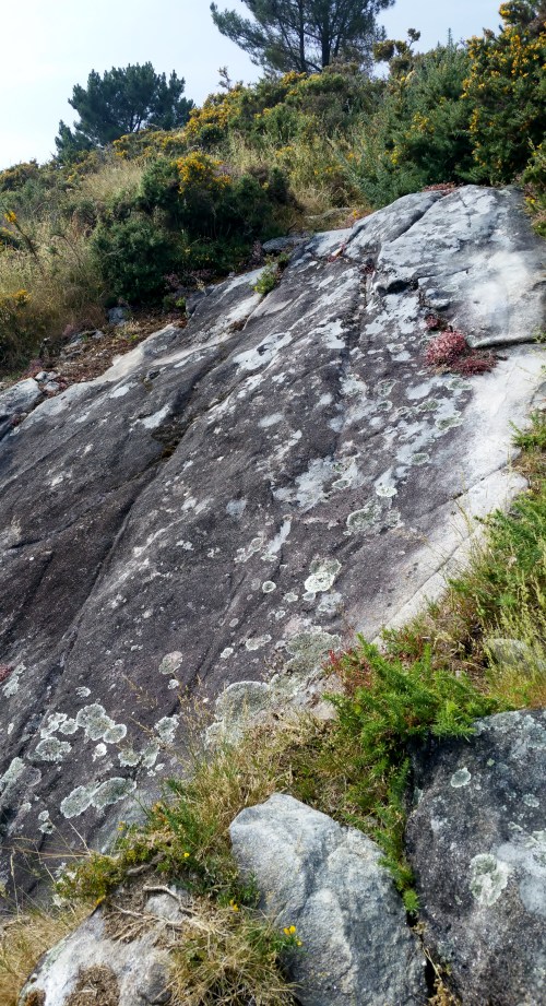 Acondicionamento das sendas para o roteiro do 9 de xullo polos montes de San Xulián.