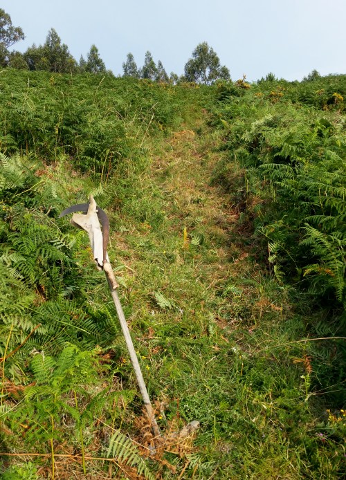Acondicionamento das sendas para o roteiro do 9 de xullo polos montes de San Xulián.