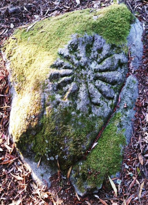 Gravados modernos de José Meijón