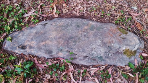 Petroglifo do Castro da Subidá