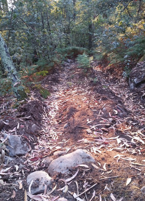 Ladeira do Castro da Subidá