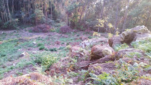 Ladeira do Castro da Subidá