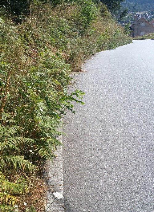 Estrada de San Xulián: A Bouza - O Caeiro.
