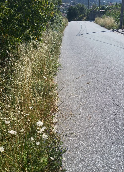 Estrada de San Xulián: A Bouza - O Caeiro.