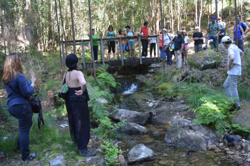 Percorrido polo rego de Castiñeiras