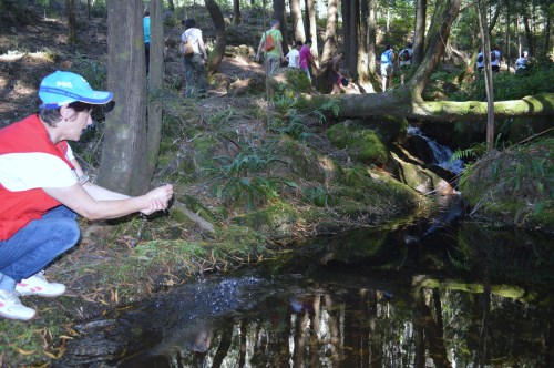 Percorrido polo rego de Castiñeiras