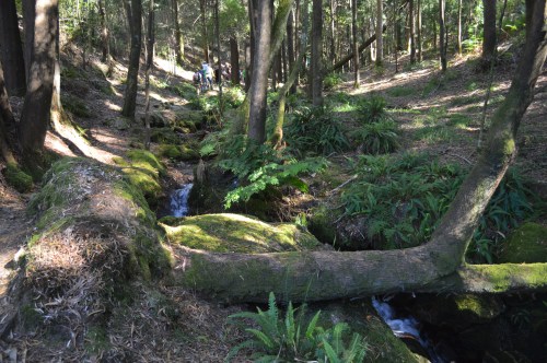 Percorrido polo rego de Castiñeiras