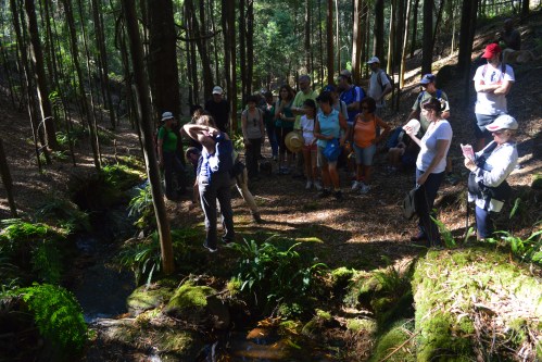 Percorrido polo rego de Castiñeiras