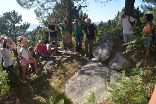 Conxunto rupestre de Champás nº3