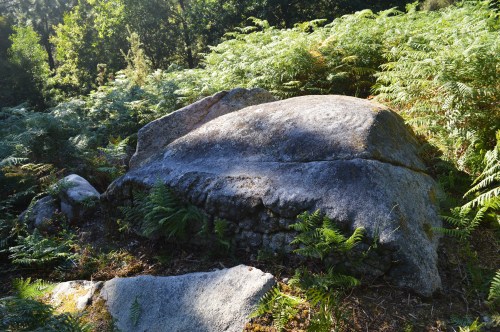 Conxunto rupestre de Champás