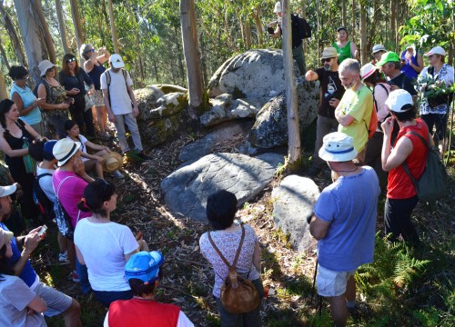 Conxunto rupestre de Champás nº1, "Silla de Champás".