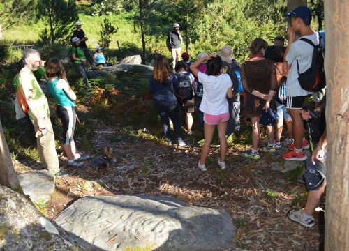 Conxunto rupestre de Champás nº1, "Silla de Champás"