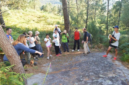 Conxunto rupestre da Carrasca nº5