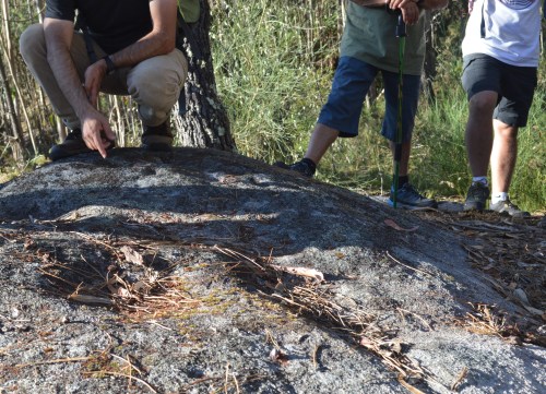 Conxunto rupestre da Carrasca nº4