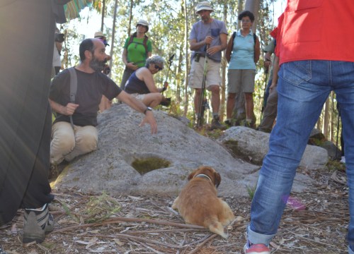 Conxunto rupestre da Carrasca nº1