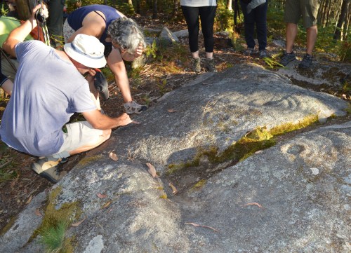 Conxunto rupestre da Carrasca nº1