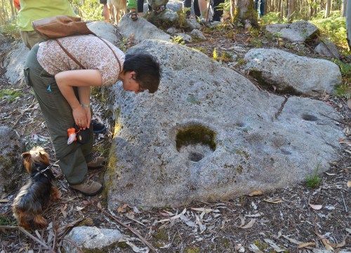 Conxunto rupestre da Carrasca nº1