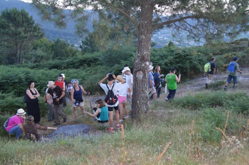 Conxunto rupestre do Pornedo nº1