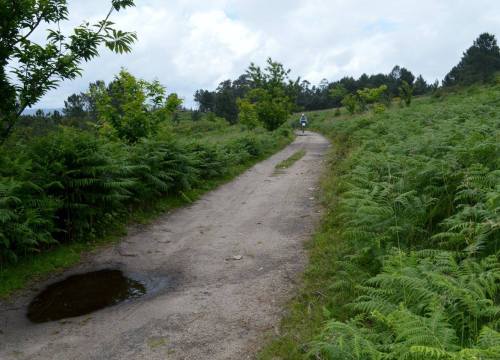 Motorista no Pituco, xuño 2016