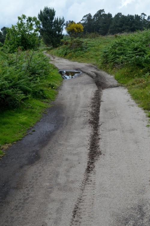 Rodeiras de moto no sendeiro do Pituco, xuño 2016