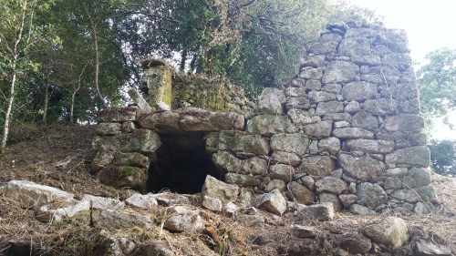 Muíño do Salgueiro