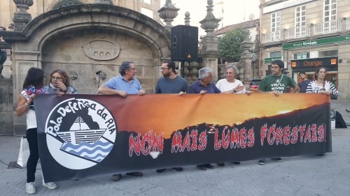 Concentración en Pontevedra contra os incendios