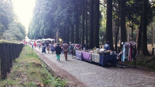 Ecofeira en Castiñeiras