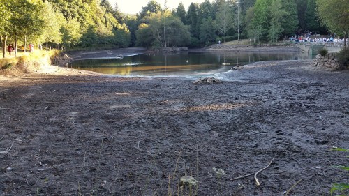 Escased de auga no lago