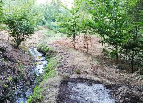 Novas sendas... ata a mesmísima zona de braña?