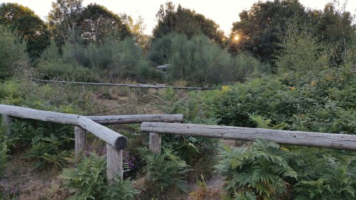 O lamentable estado da Mámoa do Rei