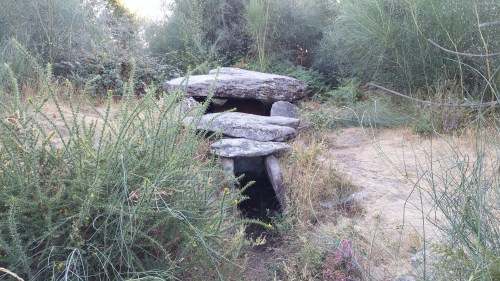 O lamentable estado da Mámoa do Rei